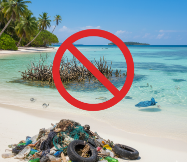 Gemini_Generated_Image_g5o6ksg5o6ksg5o6