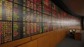 c1_3131834_251106055311_1200